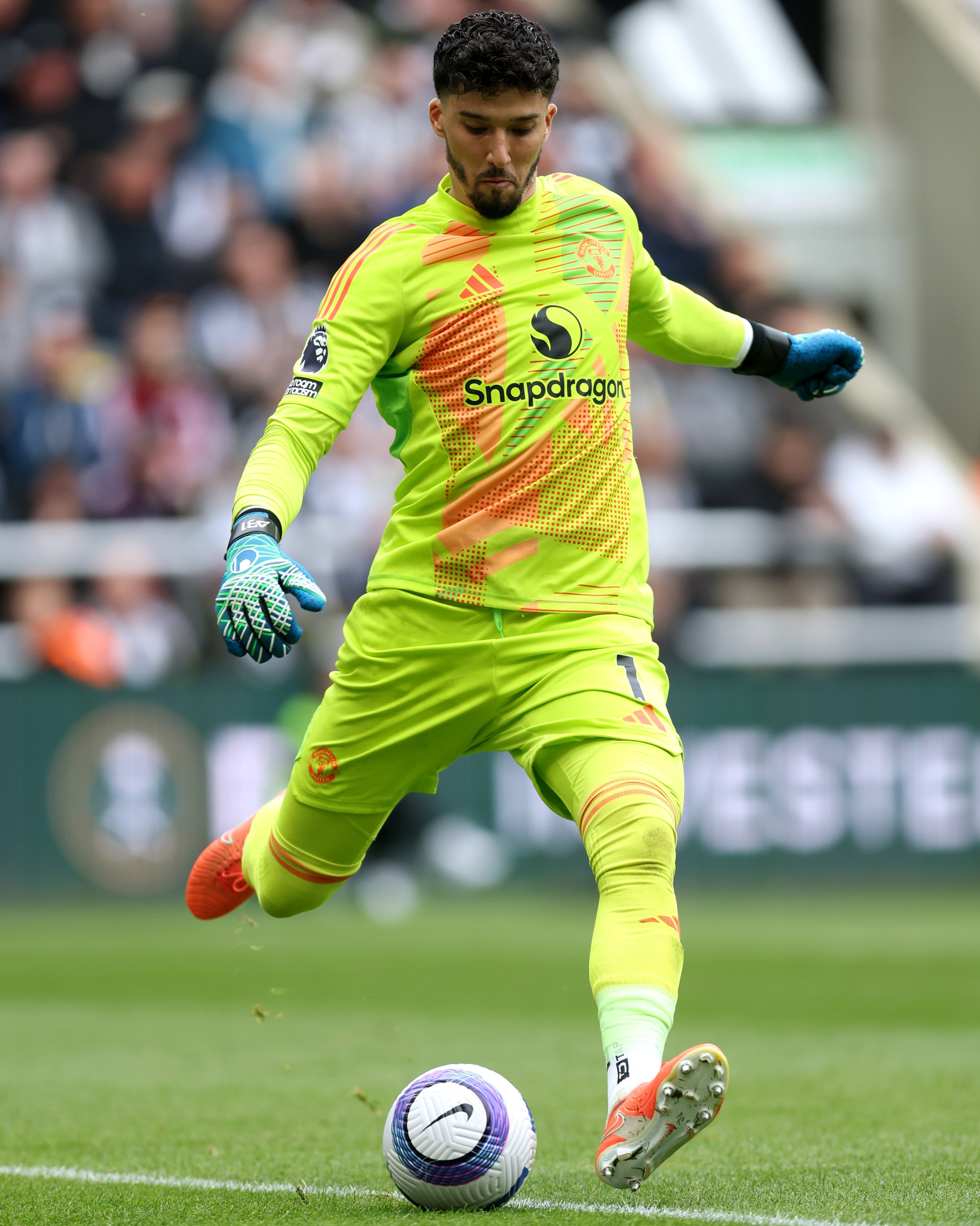altay bayindir wallpaper