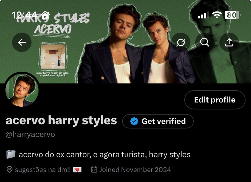 acervo harry styles tweet media