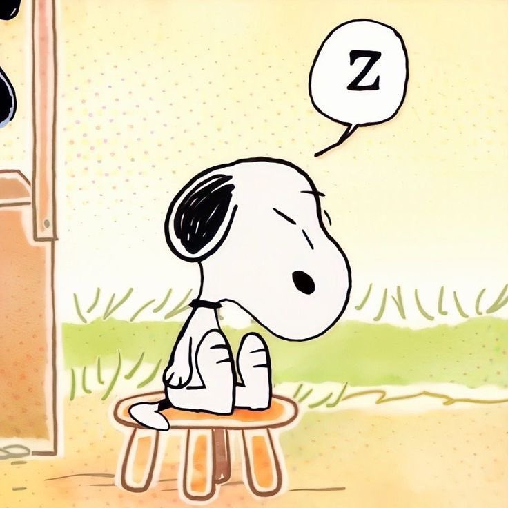 ᶻ 𝗓 𐰁ᶻ 𝗓 𐰁 ᶻ 𝗓 𐰁 .ᐟ