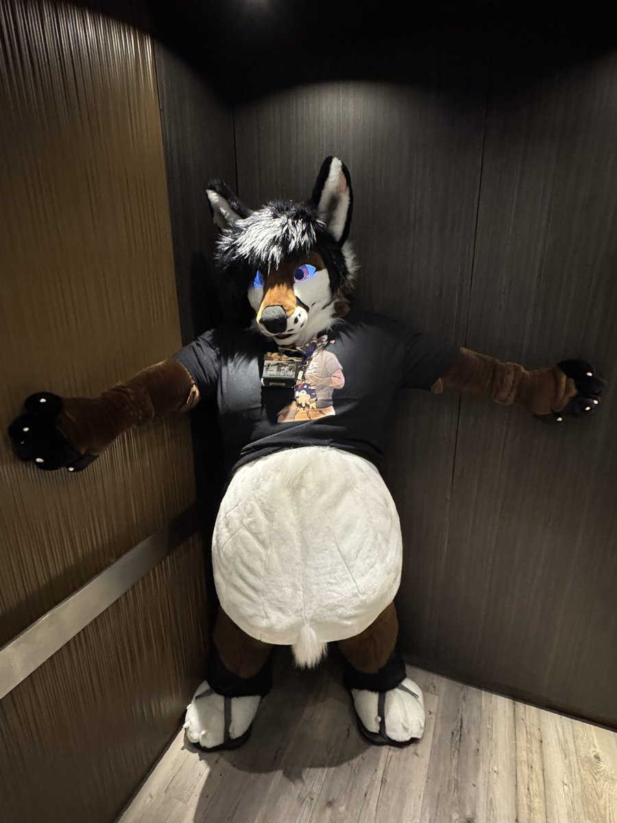 Sebastian Fox. TFF/FWA tweet media