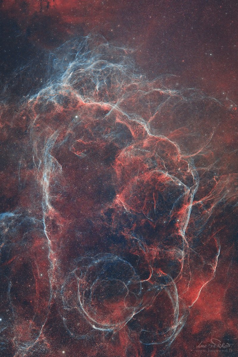 A la faveur de quelques nuits bien claires, j'ai pu dépoussiérer le matériel...
Cette mosaïque de 4 panneaux représente le rémanent de supernova dans la constellation des Voiles, résultat de l'explosion d'une étoile massive il y a environ 11 000 ans.