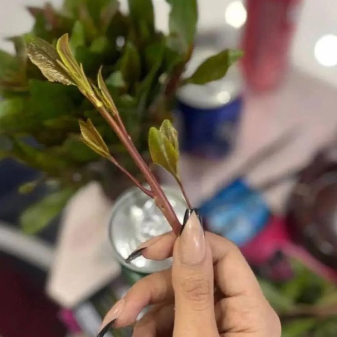 ليش اكثر الناس عندهم الصداقه كلم نيك وقله ادب ليش ماتكون الصداقه تعارف