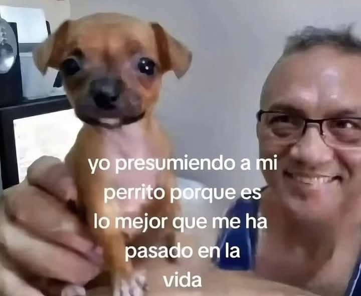 Nadie:

Yo en todas mis redes: