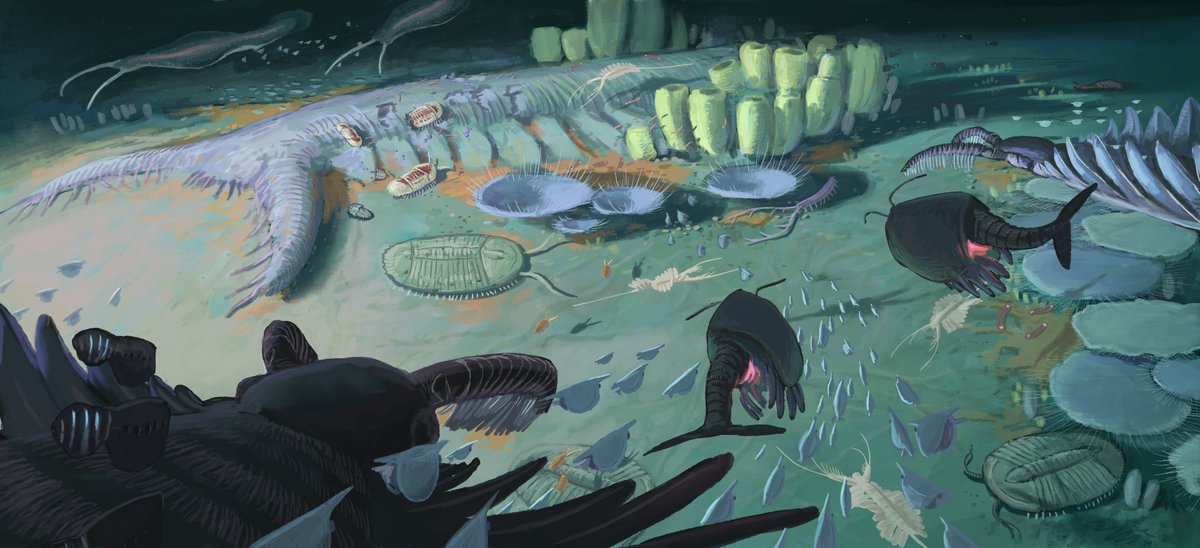 JoschuaKnuppe's tweet photo. And here it is, our second Cambrian formation piece! This time we visited the even older Surius Passet from Greenland, our first real deep sea deposit. 
#paleostream https://t.co/7R4uIQqk6I