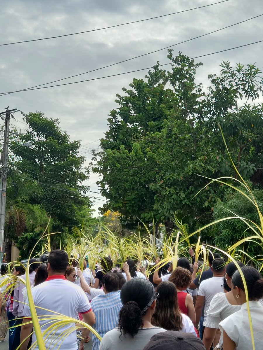 cefabian_11's tweet photo. Un domingo de ramos diferente en RD. Que está semana de oración nos dé la fuerza para levantarnos.🌿🌾 https://t.co/I0mJ6MdoMe