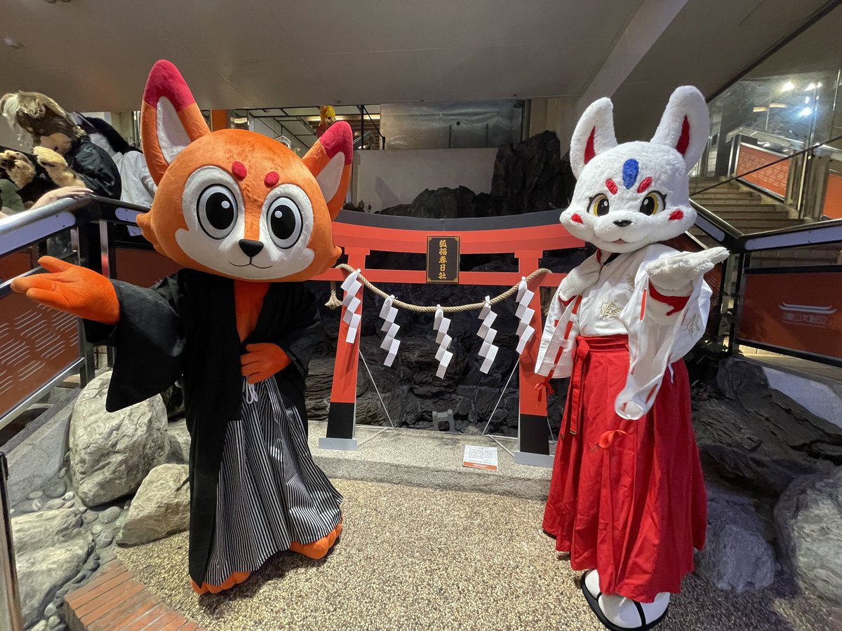昨日巫女姿のコンくんと久しぶりの游狐くん一緒にイベントを参加した