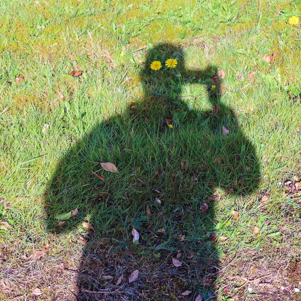 Phil Thompson tweet media