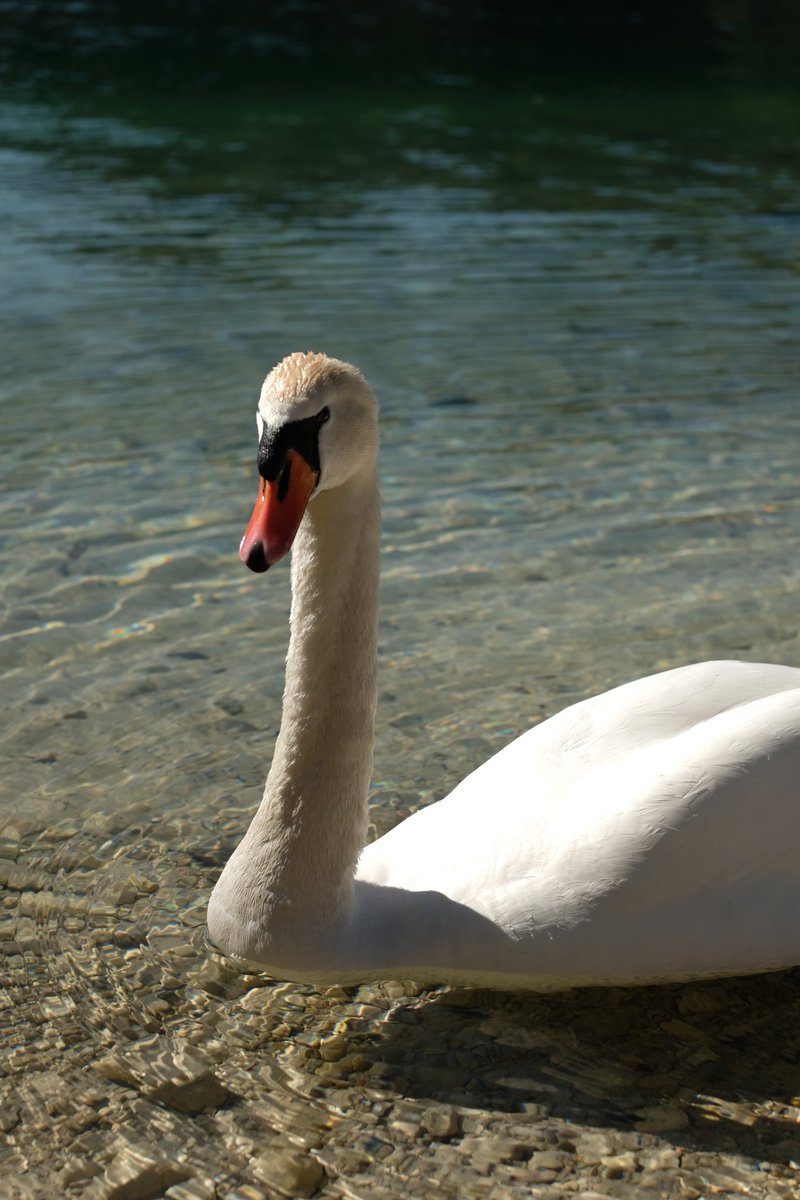 elixir_o7's tweet image. 2