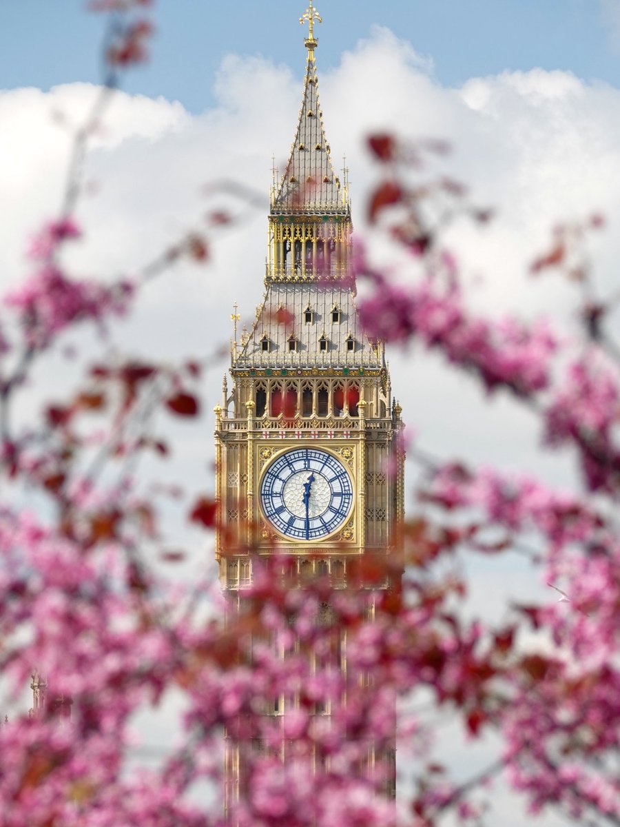BerkeleySqB's tweet photo. Big Ben at 12:30pm today ๐๐ธโ๏ธ (E) @visitlondon @CityWestminster @UKParliament #bigben #londonspring https://t.co/QF0jyE7CiV