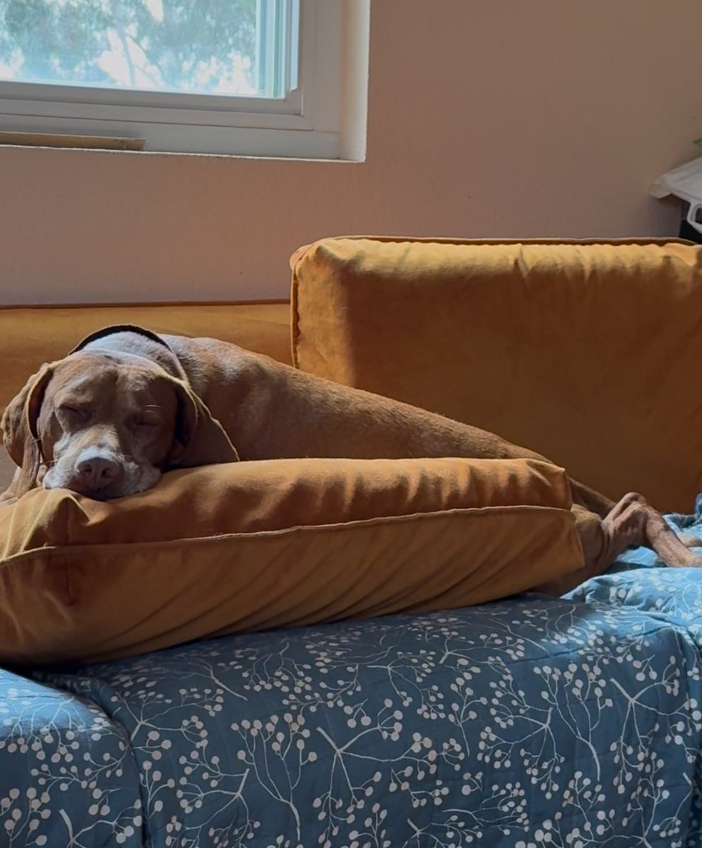 Khal’s couch potato skills are pro-level.