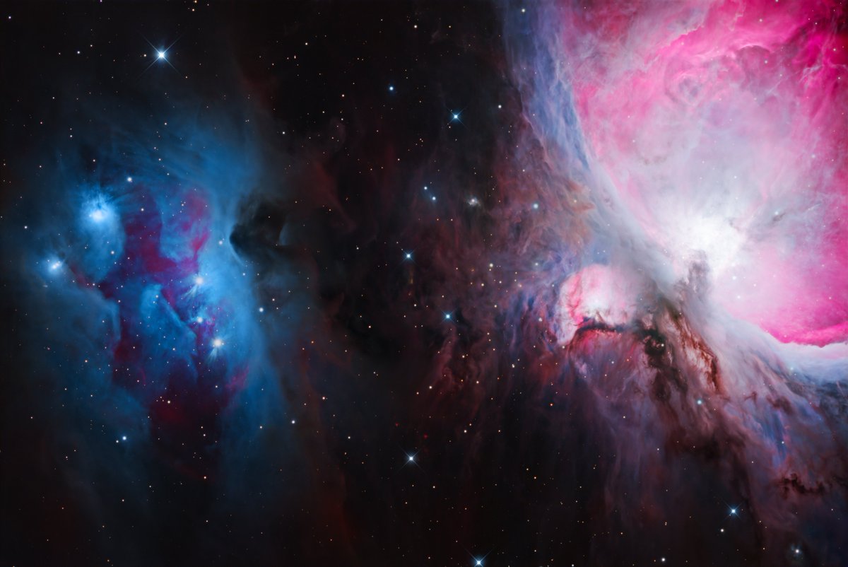 Tom Bock tweet media