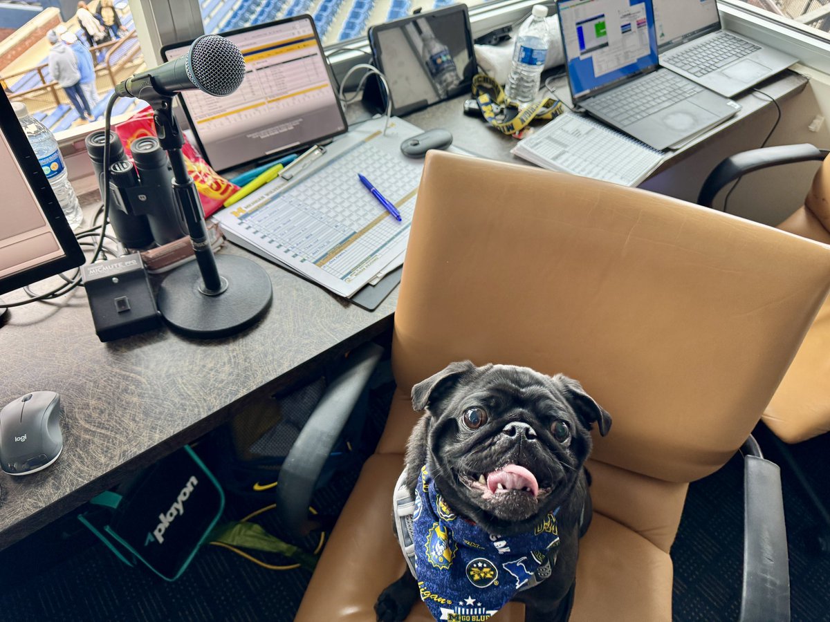 Jaymo29's tweet photo. Welcome Frank the Pug as my guest PA announcer at @umichbaseball today for Bark in the Park Day! #FromTheFish https://t.co/Zm0DrNLpe4