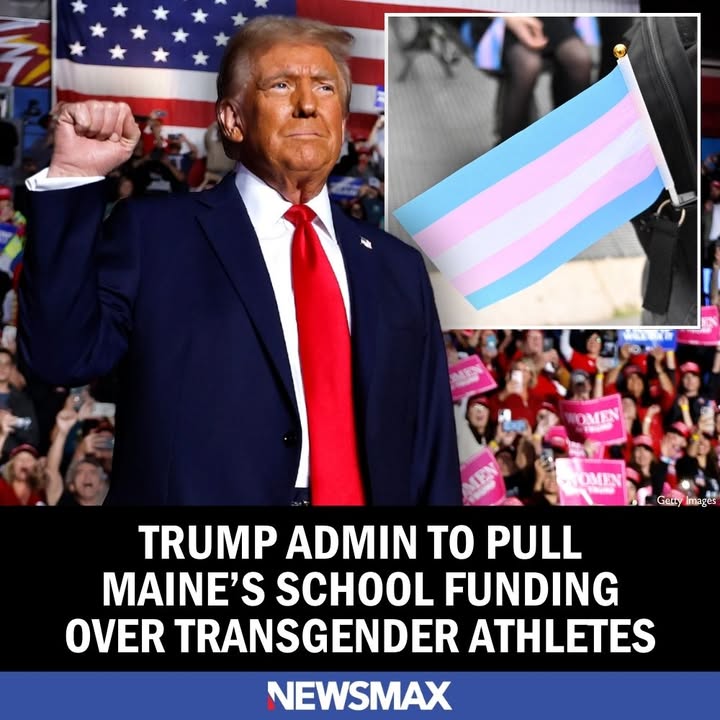NEWSMAX tweet media