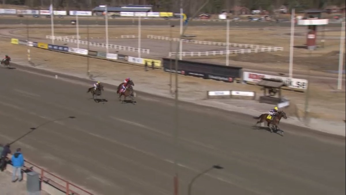 Det blev en tredjeplats för mig och Linus Boy i Rättvik idag🥉