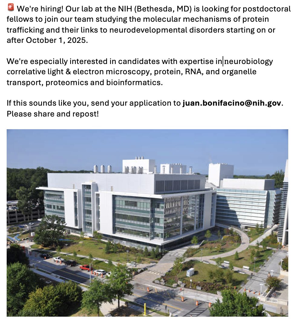 Juan S. Bonifacino (@bonifacinojuan) on Twitter photo Our lab at the NIH (Bethesda, MD) is looking for postdocs to join our team studying the molecular mechanisms of protein trafficking and their links to neurodevelopmental disorders starting on or after 10-1-2025. Send your application to juan.bonifacino@nih.gov. Please repost! Our lab at the NIH (Bethesda, MD) is looking for postdocs to join our team studying the molecular mechanisms of protein trafficking and their links to neurodevelopmental disorders starting on or after 10-1-2025. Send your application to juan.bonifacino@nih.gov. Please repost!