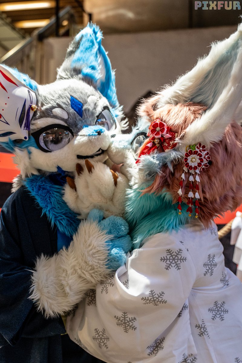 「親愛的,我愛你」
📷FB:天狐
🦊:<a href="/canducedmart/">canduce-鴉片督軍（伊空）</a> 
-----------------------
#狐之花嫁祭
#Fursuit
