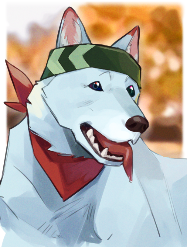 fennecwest_'s tweet photo. https://t.co/6GTgPGIeXb