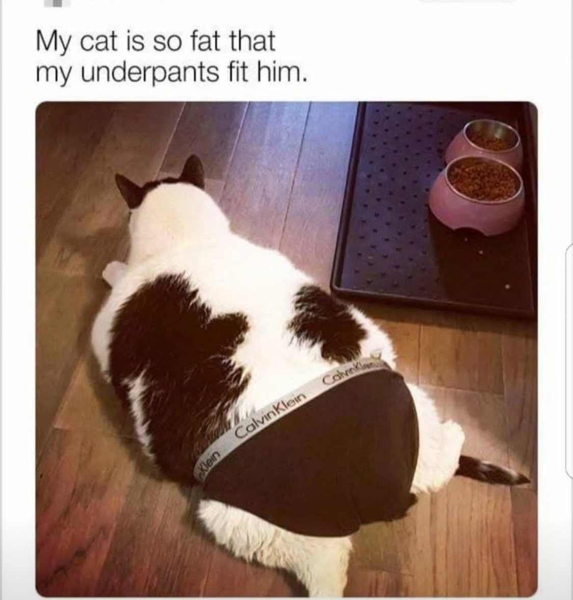 🤣