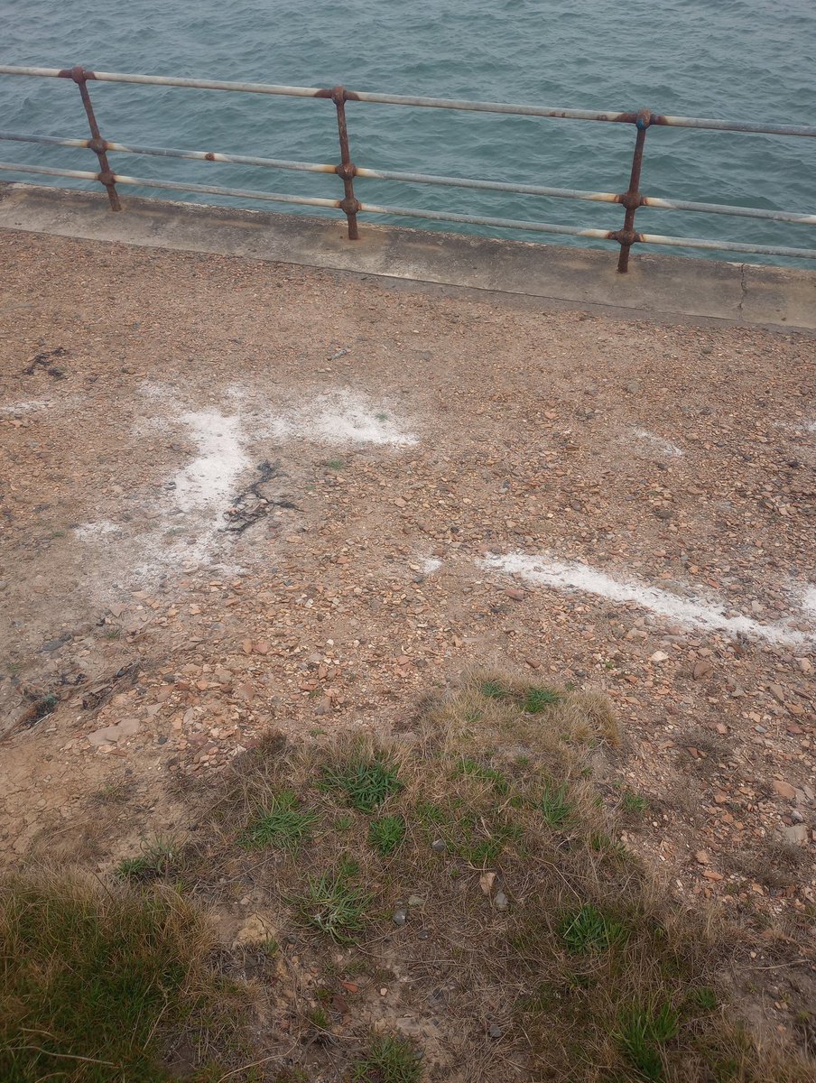 Just been out with Mimi for a little walk when I got reminded that if you have any plans dream's or something you need to say bloody hurry up before it's to late . Remember this isn't a rehearsal this is it