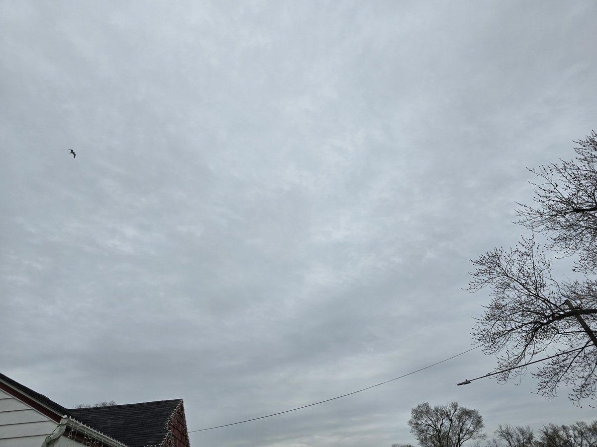 jesseRoss597206's tweet image. The war on Michigan continues. It's noon, and it's totally dark outside. So many arms of this supposedly defunded, research supposedly shut down. 🤡 and yet here we are, on God's day the sun is systematically blocked, and we are forced to breathe this shit. #bioengineering