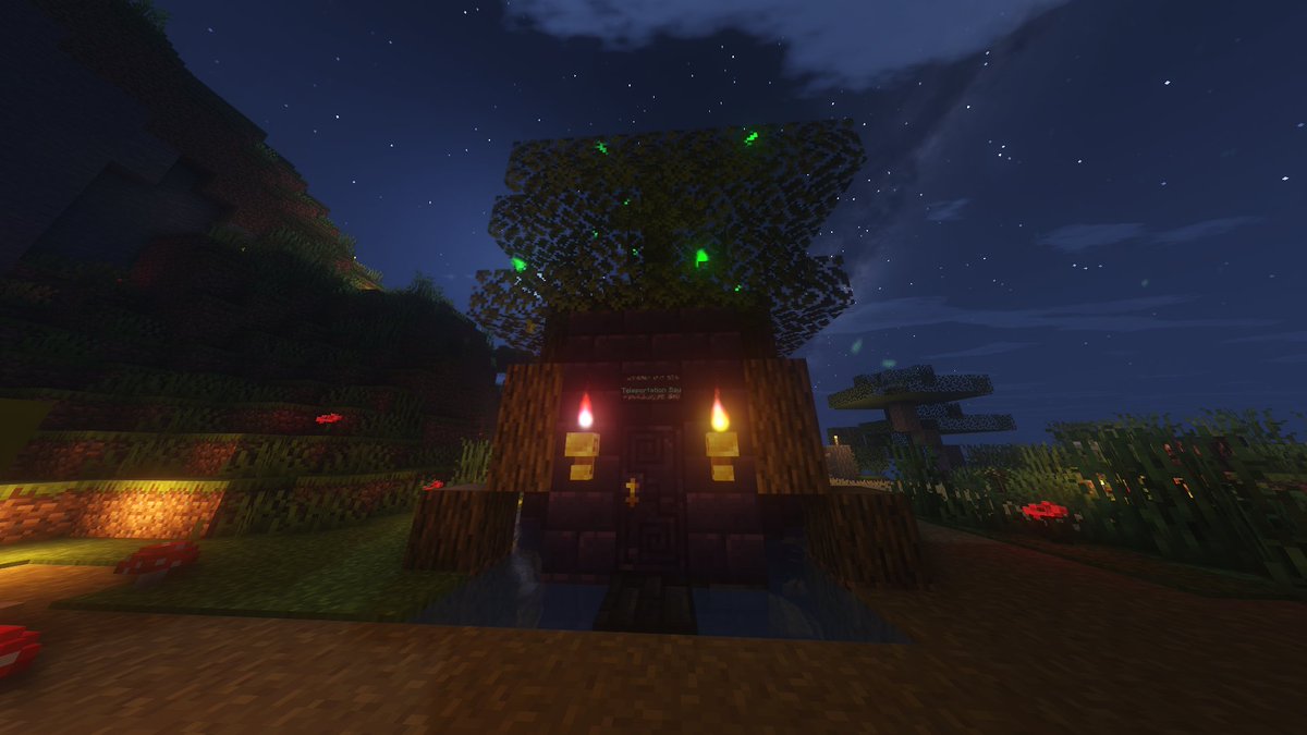 The beginning of the great library | WitchHazel SMP