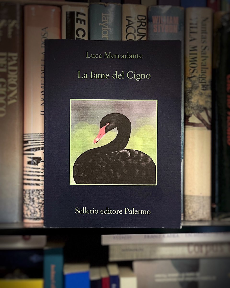 Il romanzo non è solo un’indagine su un omicidio, ma una riflessione sulla perdita – di ideali, di speranze, di identità – e sul giornalismo, criticato nella sua deriva tra sensazionalismo e inerzia. Domenico Cigno, con la sua ostinazione e le sue fragilità, diventa il simbolo di