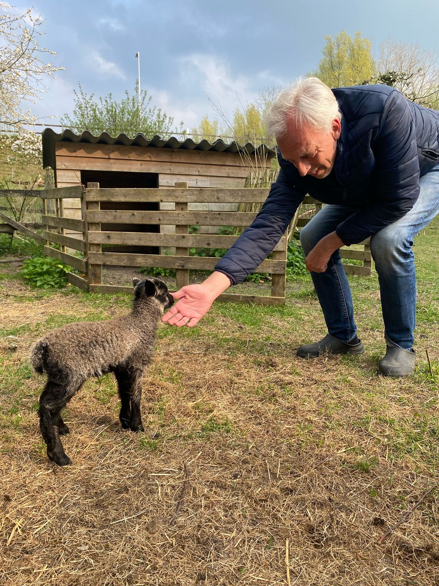 Sjors Fröhlich tweet media