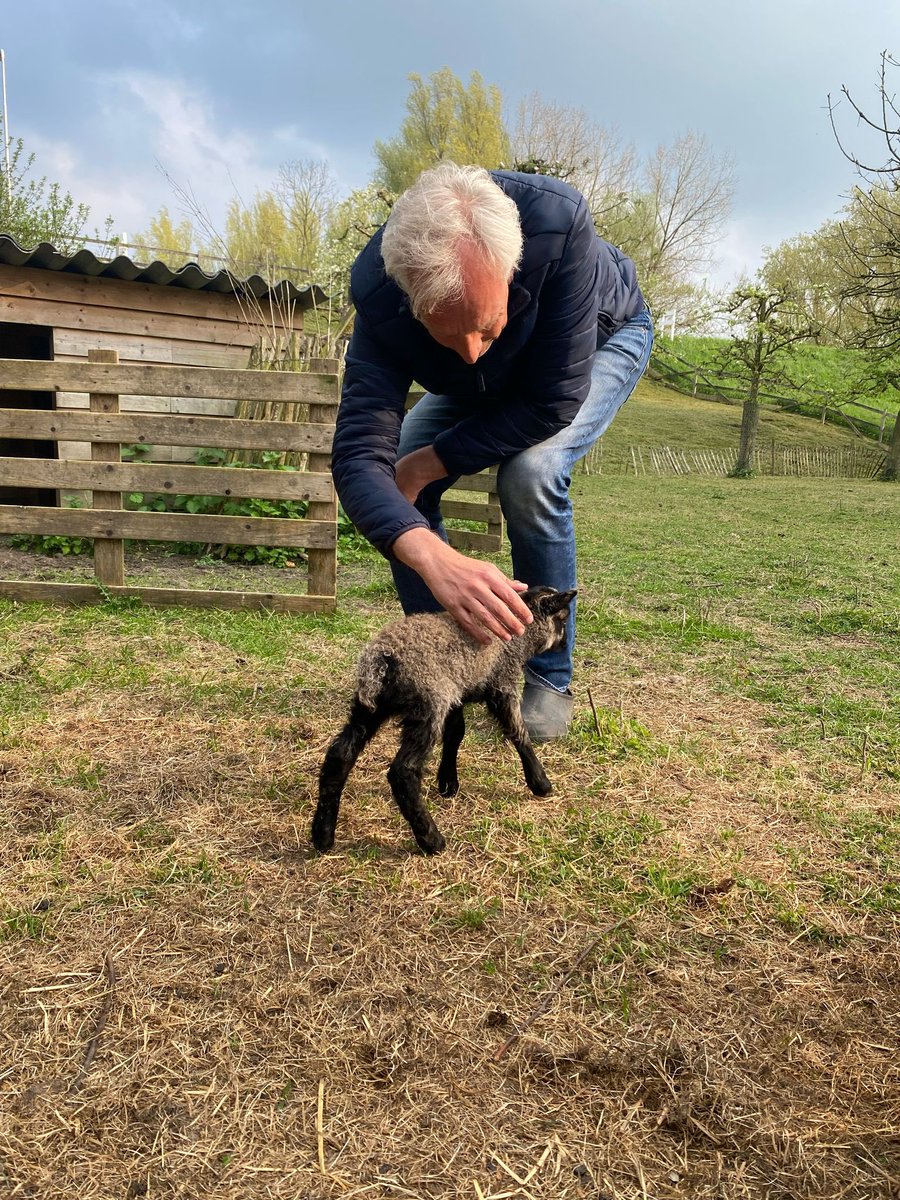 Sjors Fröhlich tweet media