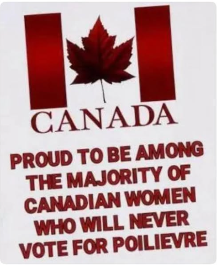 FairplayDesigns's tweet image. #WomenAgainstPoilievre