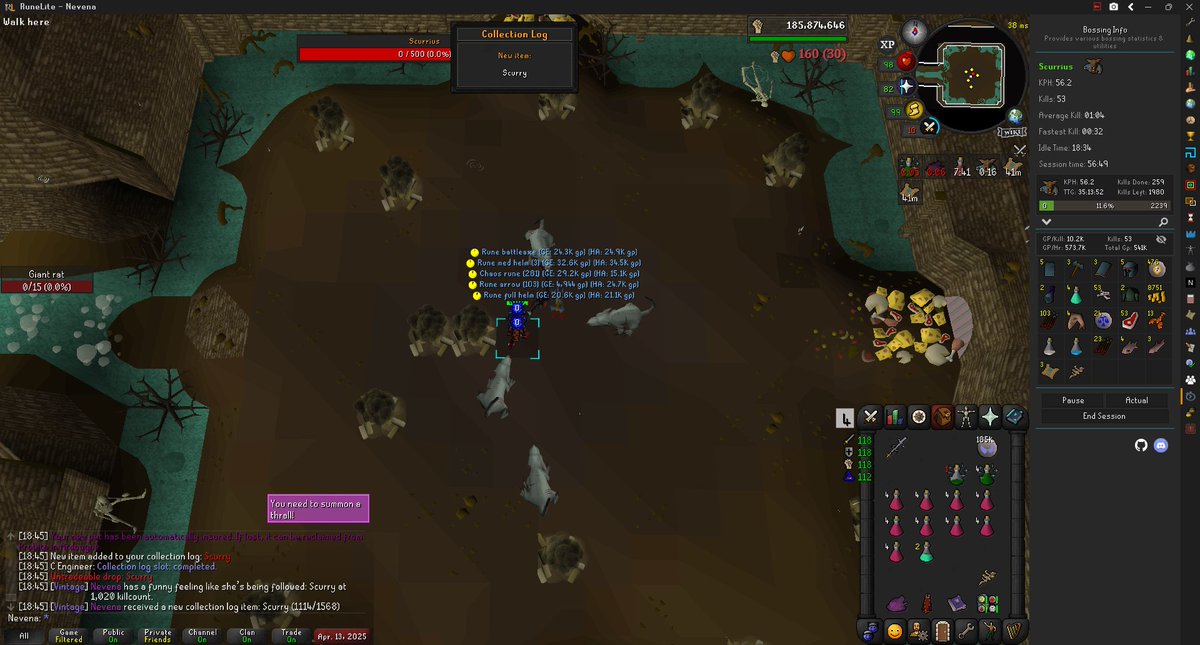 Nevena13R's tweet photo. Second pet today, Scurry #23 https://t.co/FDUT2YARf6