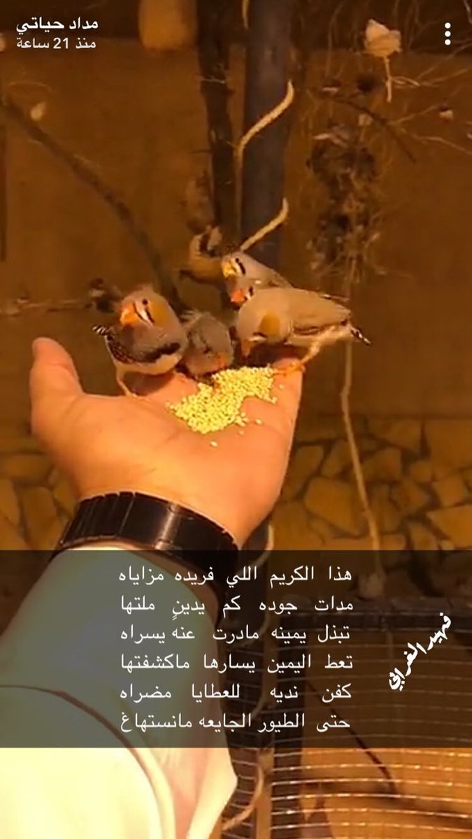 fahaid88's tweet photo. @NAWAFMSZ https://t.co/Qi0GlSCswQ