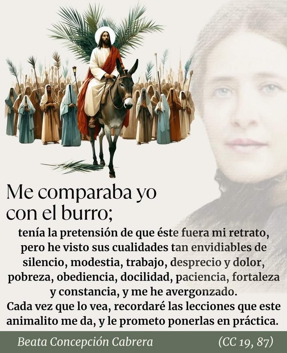 poverellacm's tweet image. Ni pa'burro como este sirvo, Señor, pero aquí me tienes...

#DomingodeRamos #Ramos