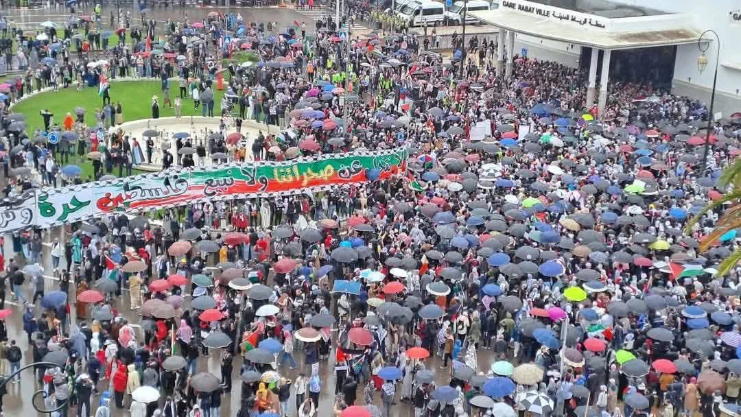 بنادم طالع للرباط تحت الشتا على ود فلسطين، والأحزاب راكبة على الموجة.
وفي الشرق، إيران كتفاوض مع إسرائيل بعدما ورطات حماس، وقطر فرحانة خذات سوريا، واردوغان استقبل نتنياهو.
حتى الفلسطينيين ما بقاوش باغيين حماس.
دياولنا خارجين للنواح