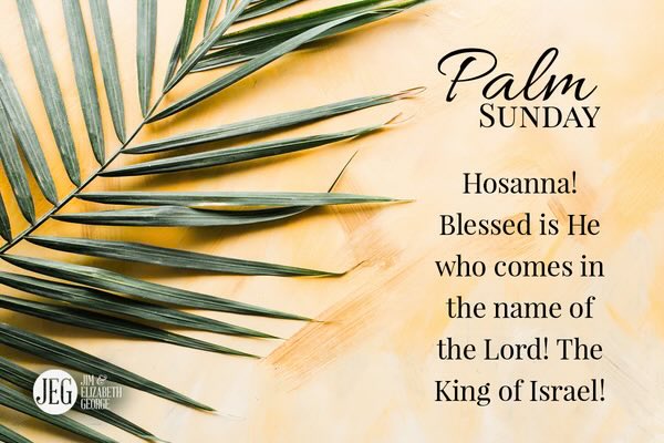 Wishing all a joyous Palm Sunday as we begin Holy Week! ❤️✝️