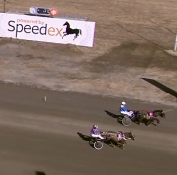 Ihan huippuravi Siljalta ja Pocahontakselta tänään Kauhavalla 🥳 
#poniravit