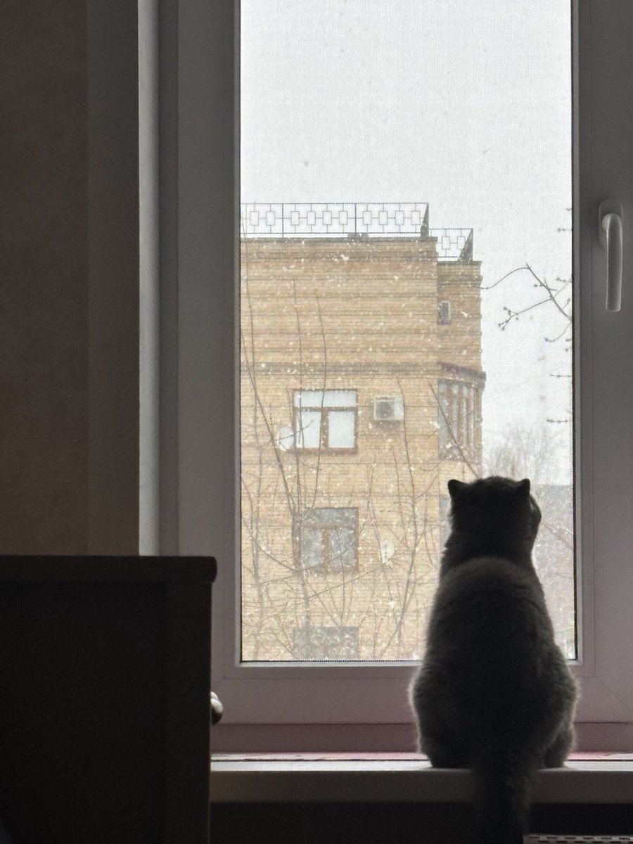 Смотрели на снег сегодня