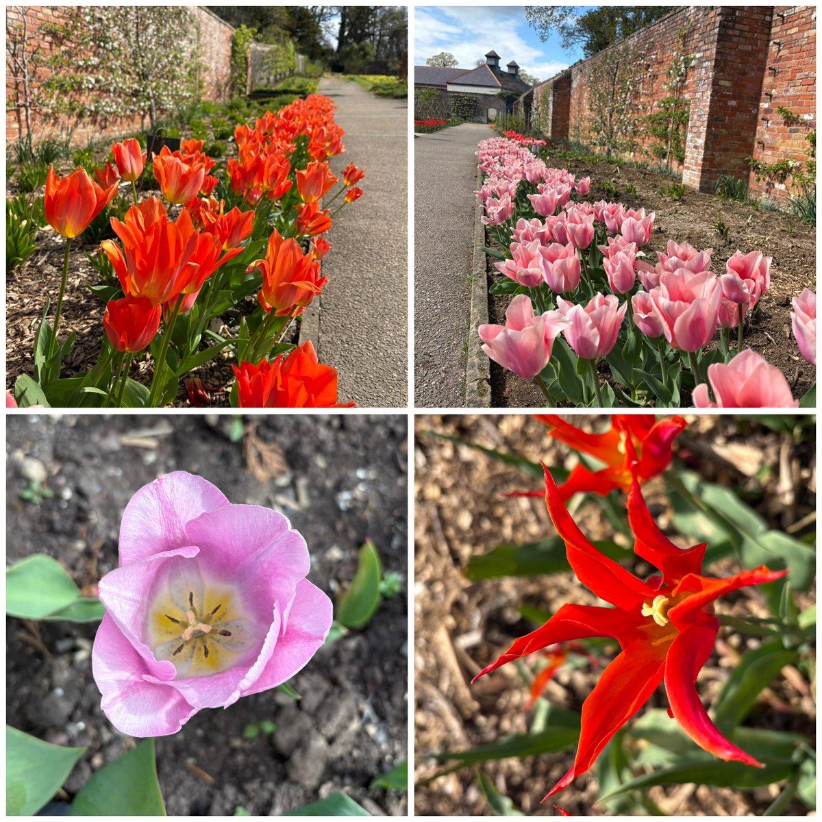 bstthm's tweet photo. The “Spring Spectacular” @HillsCastle @HRP_palaces didn’t disappoint and it was nice to see a well kept model of our first car https://t.co/Mj4ha7lhFe