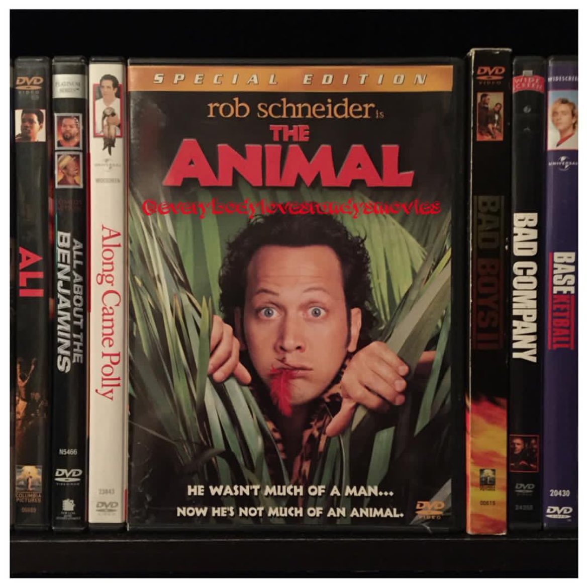 RandysMovies's tweet photo. Movie: #TheAnimal (2001) 

Starring: #RobSchneider #ColleenHaskell #JohnCMcGinley #GuyTorry #EdAsner #MichaelCaton 

Directed By: #LukeGreenfield

#DVD 
#MovieNerd 
#MovieCollector
#DVDCollection 
#MovieCollection 
#MovieBuff
#PhysicalMedia 
#FilmTwitter https://t.co/OhAxUOlPNX