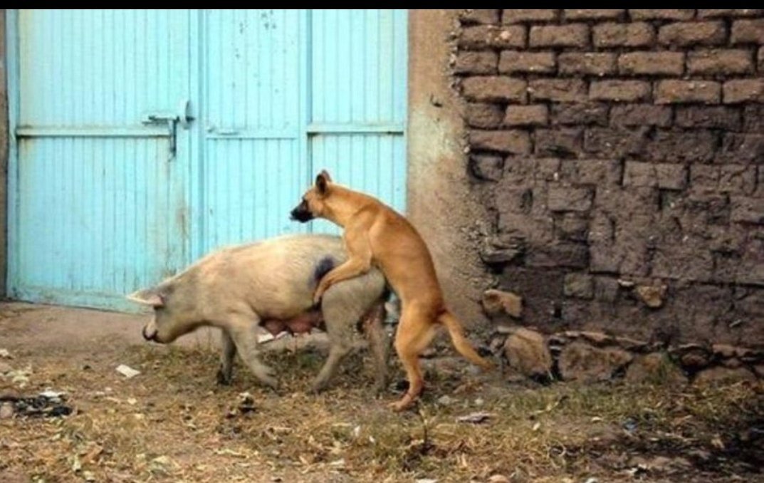 Alexanderkrypt's tweet image. Mda wakujilimbwasa huu
@dijei377

@OnlyAdult_18

@AfricanHotGirls

@PopcornPlug_

@nyuki_malkia

@african_raw

@mudryk_jr

@Nutty_Vibes

@_FunnyPage12

@justmalkia_ 

@missile_nana

@Dingi_1234

@Erotic9ja

@FilmingSite

@fellarunitallx3

@majizo_jr

@Poupeemimi_01

@Kingvannytz_…