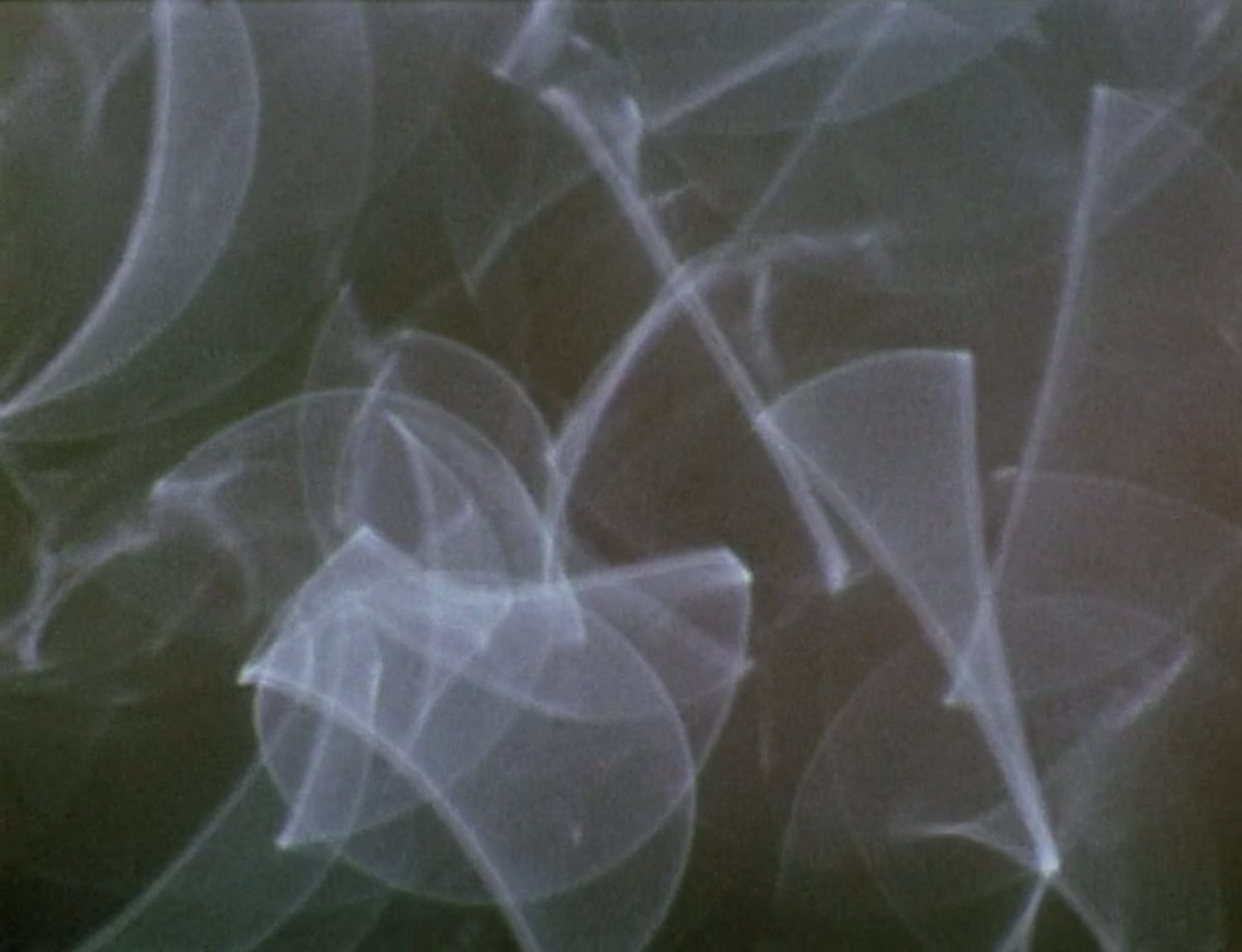 April has been a busy month so far and there's more to come! Check out our latest interviews, reviews, and videos here: splittoothmedia.com