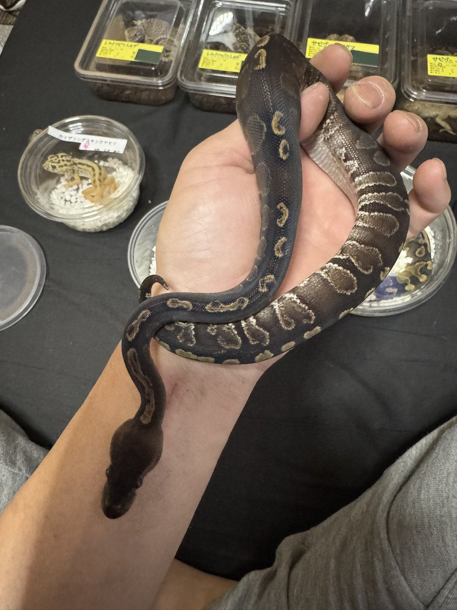 JACKで買いすぎちゃった😅