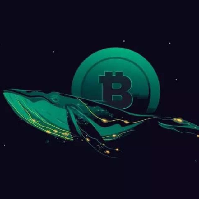 اللي فاتته طفرة الإنترنت في بداية الألفينات…
الكريبتو يعطيك فرصة ثانية.”
مسابقة بقيمة 10$ USDT ل 5 رابحين  🧑🏻

🎯الشروط سهلة جدا: 
🔹1. متابعة لحسابي
🔹2. لايك + ريتويت للبوست

📍راح اختار رابح عشوائي خلال 48 ساعة ان شاء الله. 
وفقنا ووفقكم الله 🌷
🐳 الحوت ميمز دائما فوق الجميع