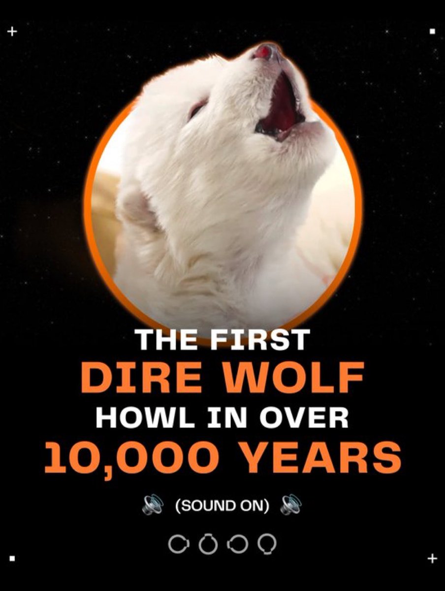 الذئب الرهيب يعود للحياة بعد انقراض دام أكثر من 10 آلاف عام!

في قفزة علمية تاريخية، نجحت شركة التكنولوجيا الحيوية الأمريكية Colossal Biosciences في إعادة إحياء حيوان “الذئب الرهيب” المنقرض، باستخدام الحمض النووي المستخرج من حفريات يعود عمرها إلى 75 ألف سنة!

#Biotech #Genetics