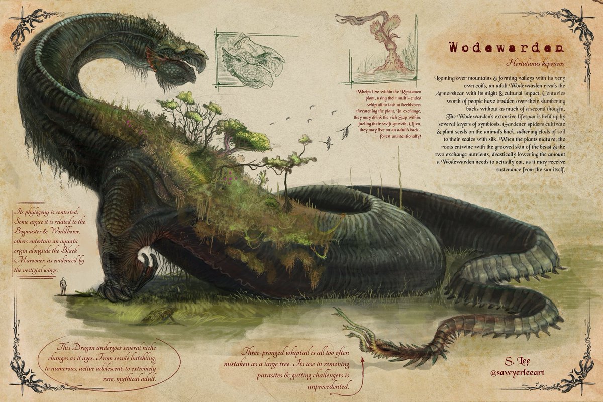 Looming over mountains &amp; forming valleys with its body, the Wodewarden is a dragon that will count for an ecosystem of its  own to be explored in the Dragonslayer Codex: Volume Two. This species is numerous as an adolescent, where it forms the bulk of its environment’s biomass.
