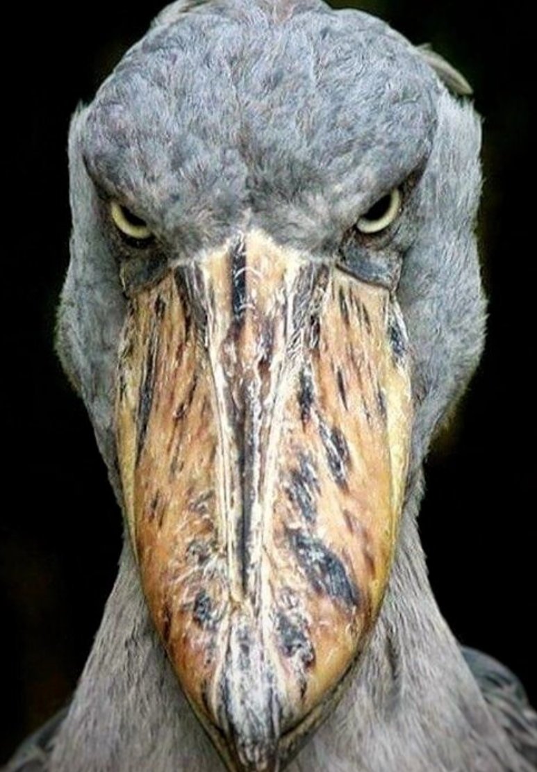 Week-End Day Jumping tweet media