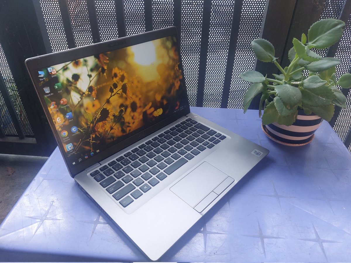 Laptop NiNa tweet media