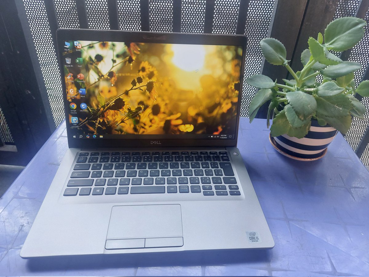 Laptop NiNa tweet media