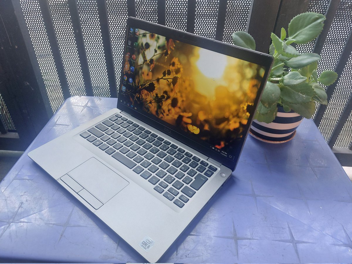 Laptop NiNa tweet media