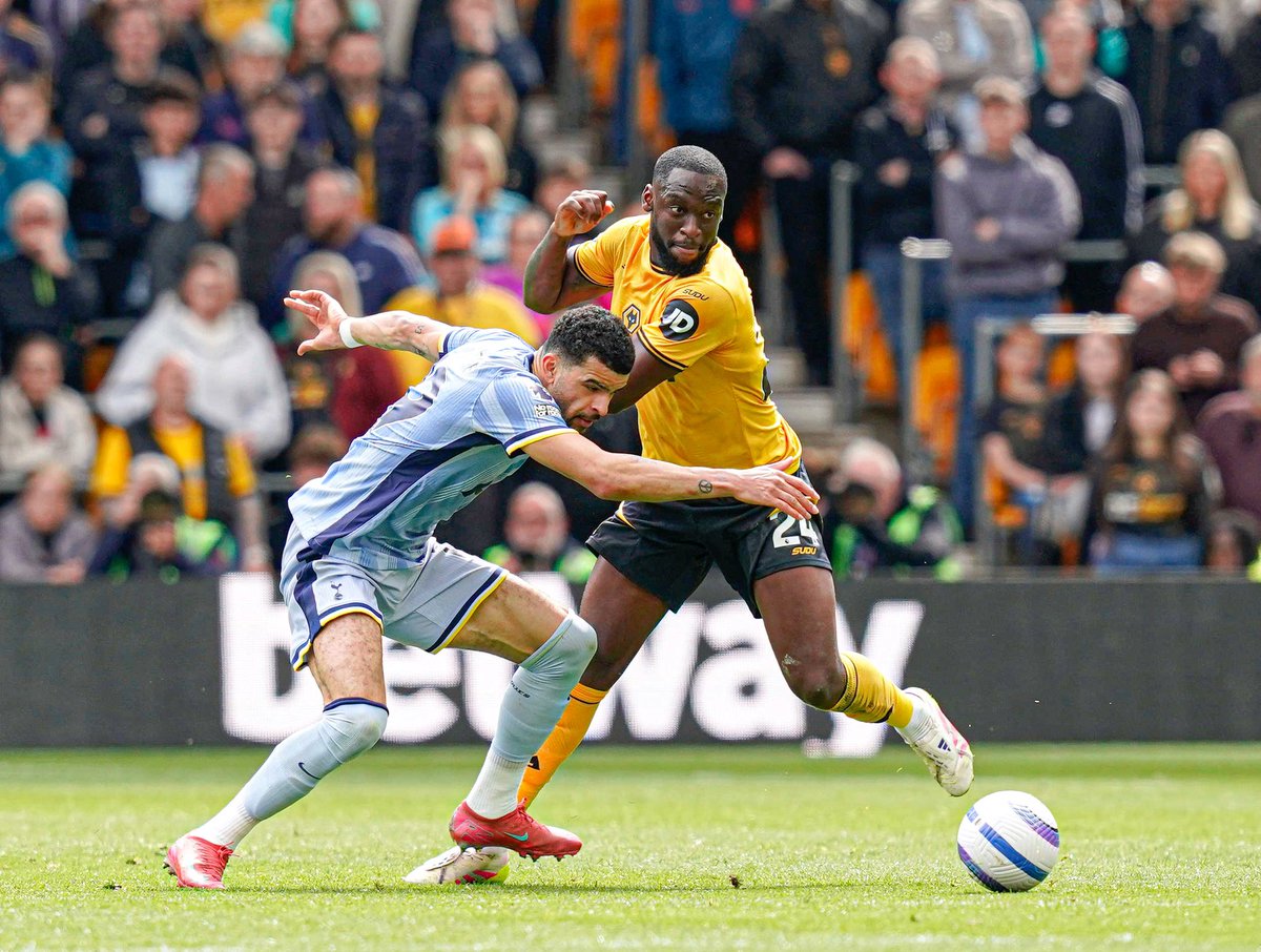 Toti Gomes 💫 tweet media