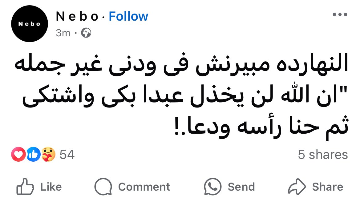 Maii • (@mai_zeidan) on Twitter photo 